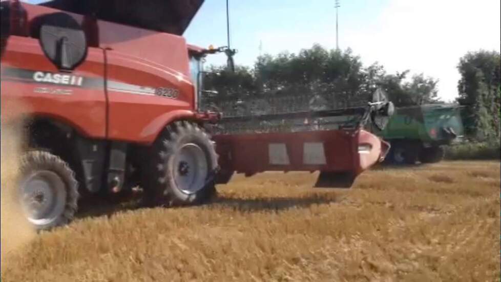 Case IH Axial Flow 8230 met 9 meter maaibord - Trekkerweb