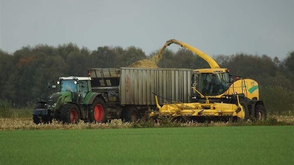 Fendt 828 met Fliegl aanhanger in het maïstransport Trekkerweb