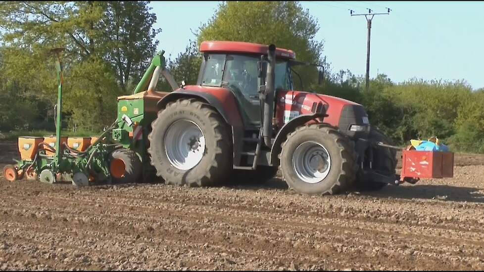 Maïszaaien Case-IH CVX 195 Amazone ED 602 K Terhuf Trekkerweb