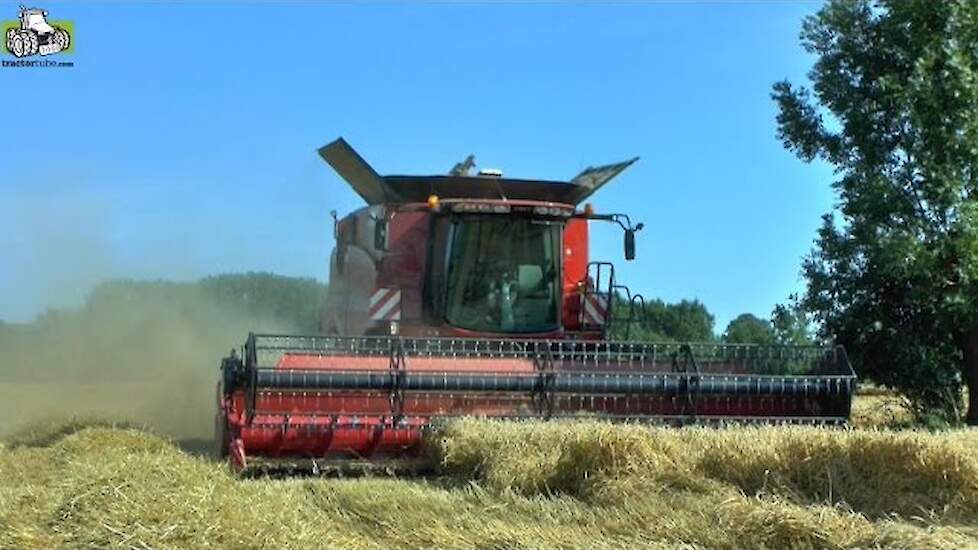 Wintertarwe combinen Case IH 7230 Axial Flow Gottschalk uit Isselburg Duitsland Trekkerweb