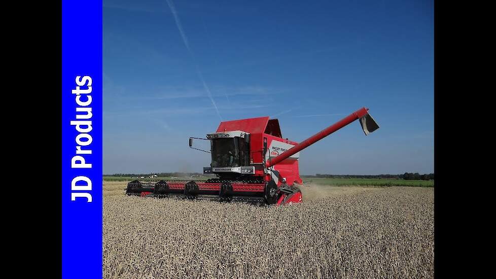 Massey Ferguson Cerea 7278/Graan dorsen/Grain hervest/Getreideernte/Breure/Biddinghuizen/Flevoland