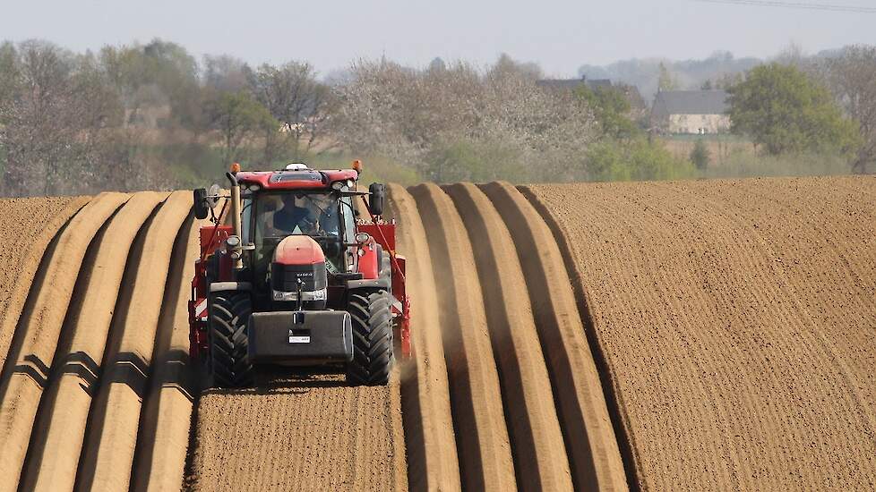 Nieuwe! Case IH Puma CVX 240 met AFS 700 terminal aardappelspoten met Grimme Exacta Trekkerweb