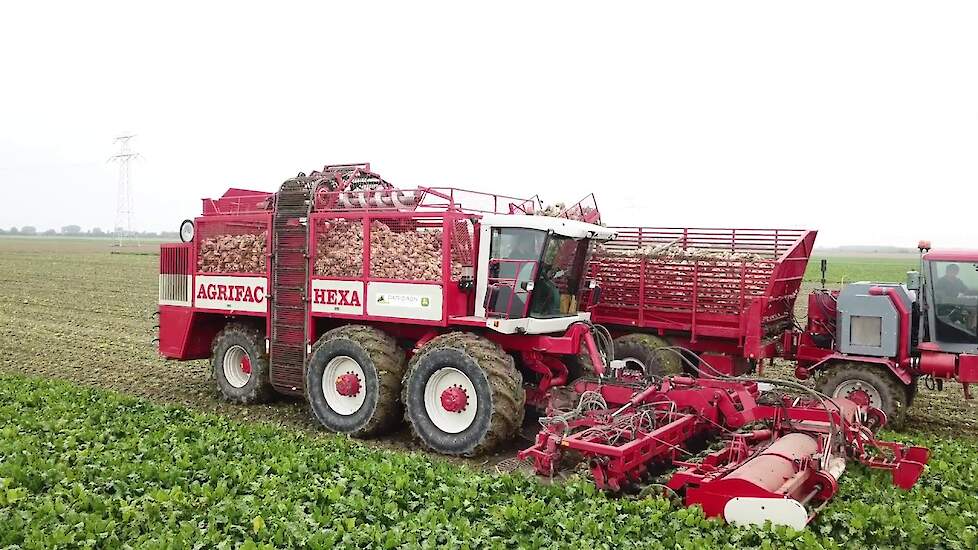 12 row Sugarbeet Harvesting (4K) |The Netherlands | AGRIFAC HEXA