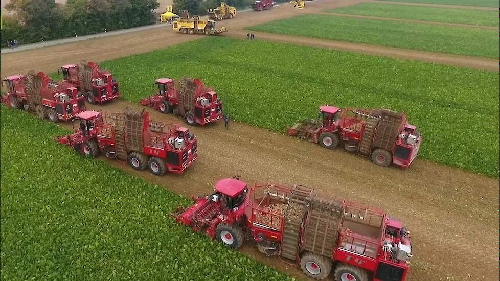 Negen suikerbietenrooiers in actie op veldag machinering Rheinland West e.V Trekkerweb