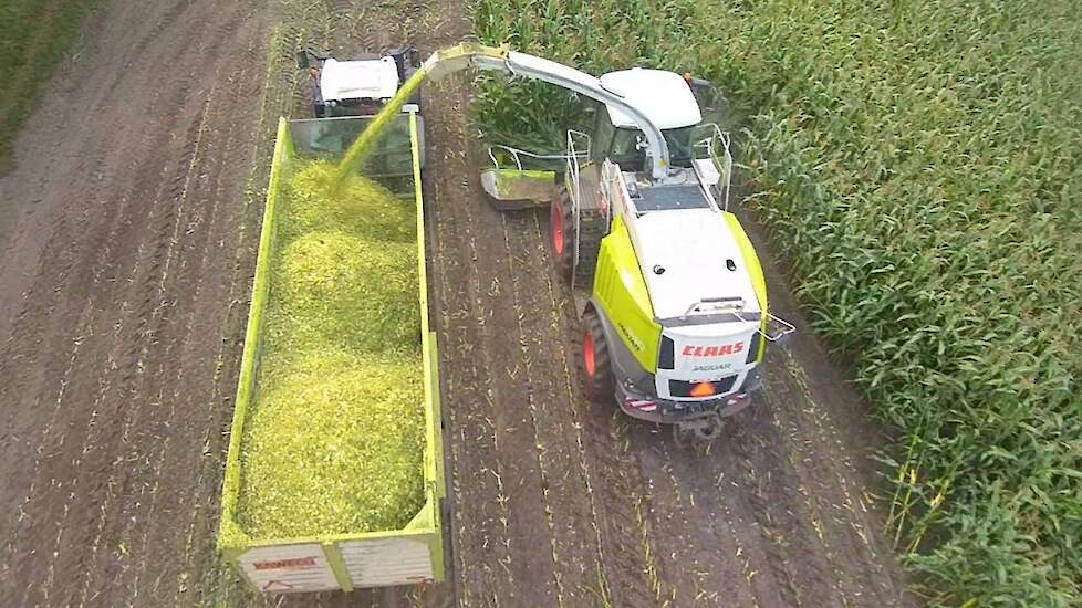 Shredlage hakselen bij Loonbedrijf Hartlief-Lammers B.V. Claas Jaguar 940 Trekkerweb silage corn