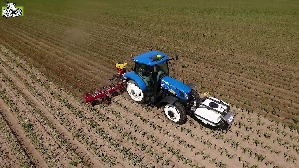 Grass under sowing in maize corn onderzaaien