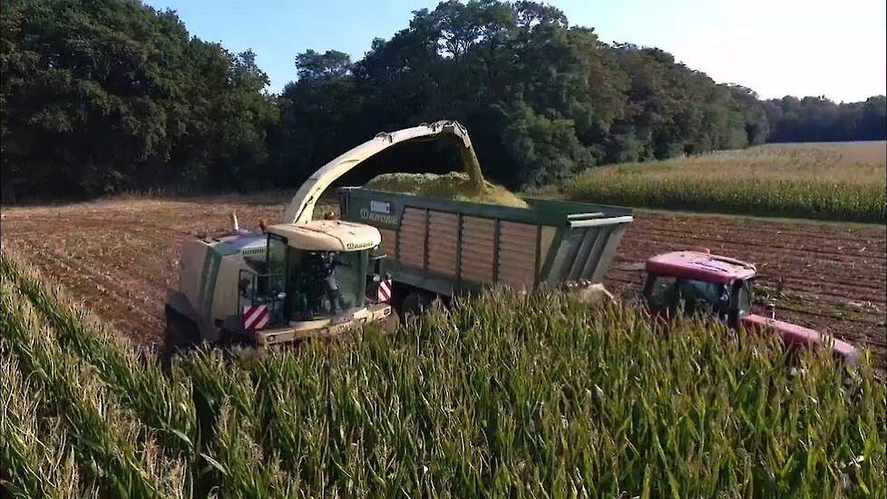 Krone Big X 700 en Krone silagewagen in de maïsoogst Trekkerweb