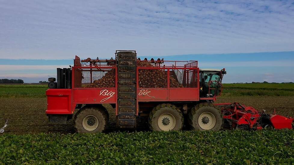 Agrifac Big Six suikerbietenrooien op Texel