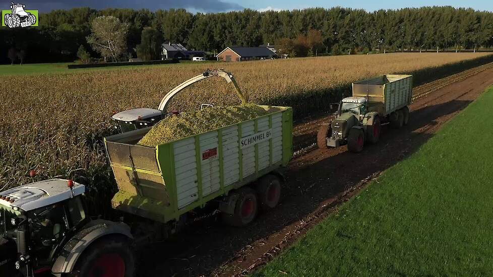 Loonbedrijf Schimmel BV aan het maishakselen