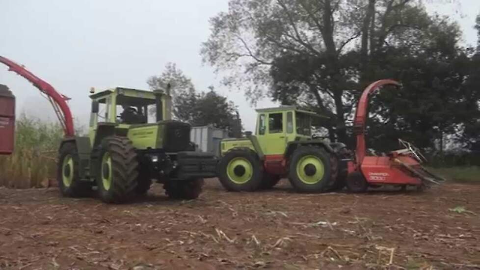 Mega maïshaksel festijn met MB-Trac`s en Unimog in Nordhorn Trekkerweb ensilage corn harvest