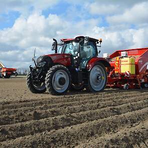 De andere drie demovelden worden gepoot met bemande trekkers. Op het ene perceel poot een Case IH Maxxum CVX 145 met een vierrijige GB430 van Grimme.