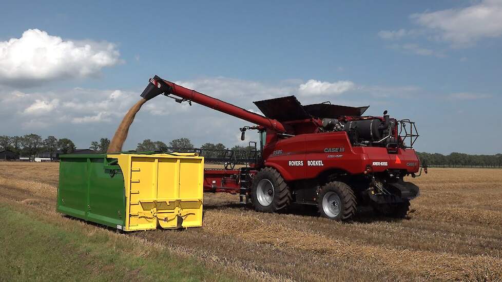 Case-IH Axial Flow 8250 in de tarwe