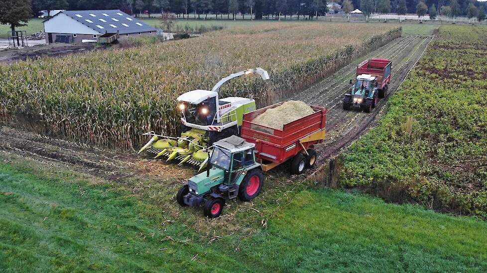 Mais Silage 2021 with Claas Jaguar + Fendt's | Donkersteeg