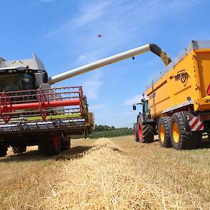 De brouwgerst gaat als maalgerst weg via Mooren Agro in Montfort. „Het vraagt nogal wat extra aandacht om aan de eisen van de brouwers/mouters te voldoen. Deze extra aandacht zie ik vervolgens niet terug in de prijs. Het prijsverschil tussen brouwwaardige