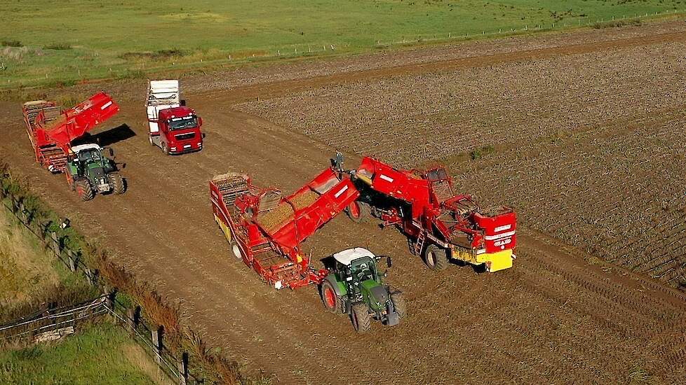 Drie maal Grimme SE 150-60 aan het rooien