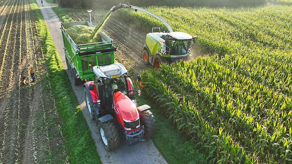 Mais Silage 2023 | Claas Jaguar 960 + Kemper | 3x Massey Ferguson | Coenen BV