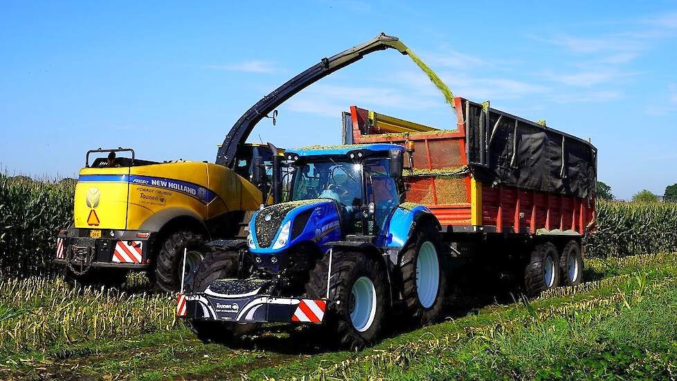 Mais silage 2023 | New Holland FR650 | Toonen Odiliapeel | Maishakselen | Maishäckseln