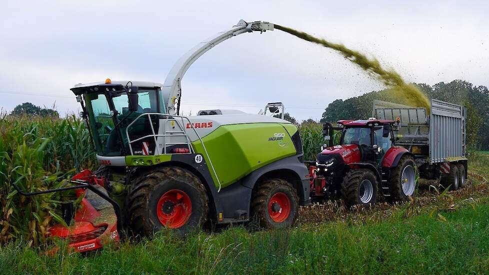 Mais 2023 | Claas Jaguar + Case IH Puma 240 AFS | Hüging Velen-Ramsdorf (D) | Mais hakselen