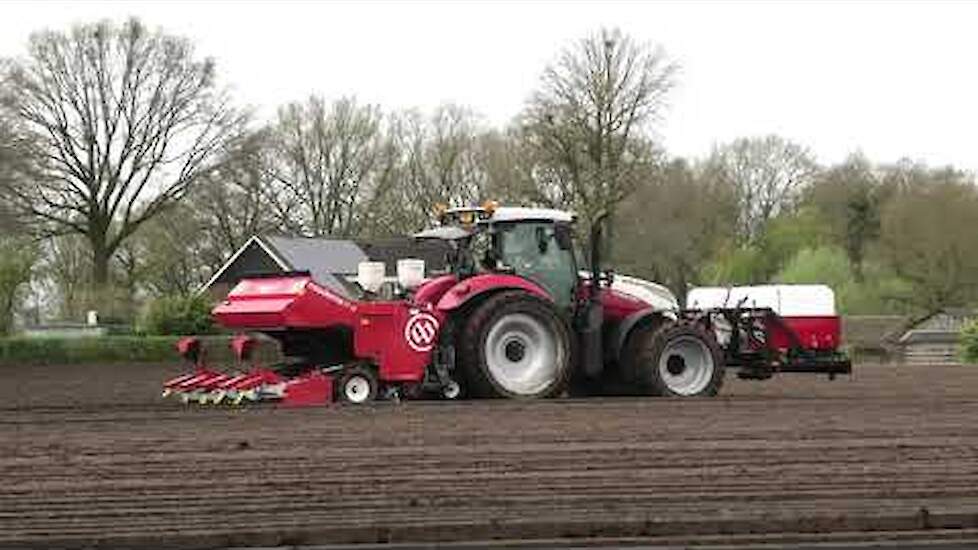 AARDAPPELS POTEN MET EEN STEYR 4135 CVT MIEDEMA CP 42