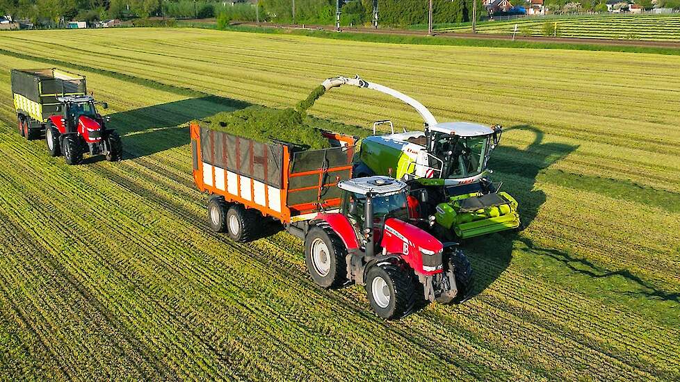 Grass Silage | Boschloo Gorssel | Claas Jaguar 940 + Massey Ferguson + Werklust | 2024