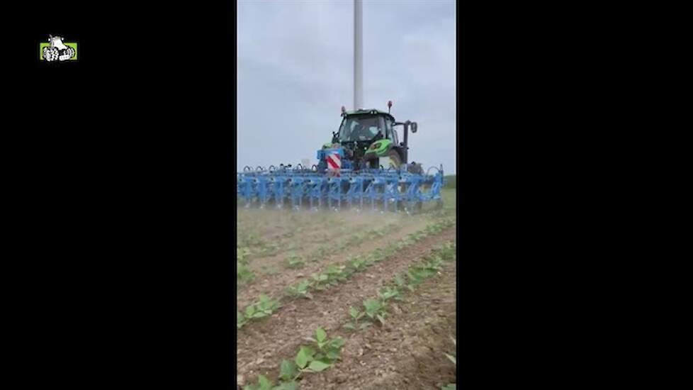 Met Lemken schoffeltecniek  professioneel schoffelen in de bonen