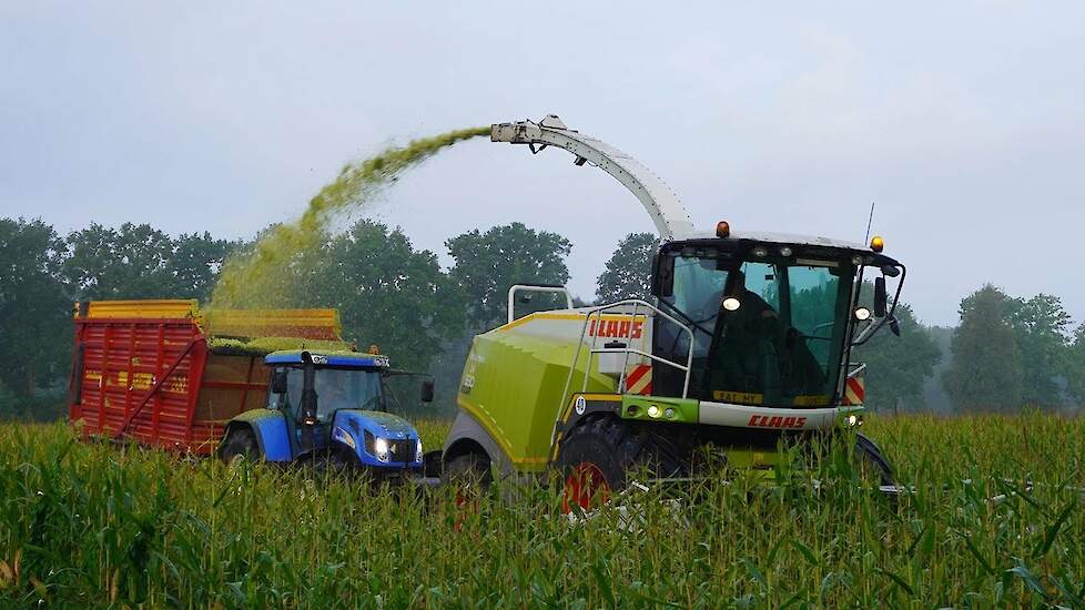 Mais 2024 | Claas Jaquar + New Holland TVT155 | Gebr. Westera Zalk | Maishakselen | Mais silage